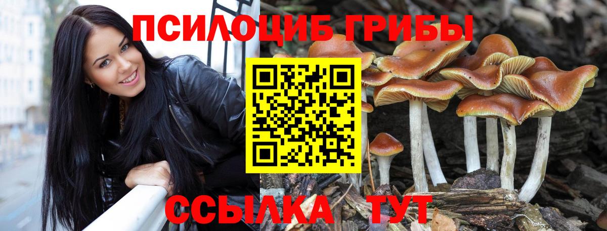 Псилоцибиновые грибы Psilocybe  Вход с VPN  как найти закладки  Гуково 